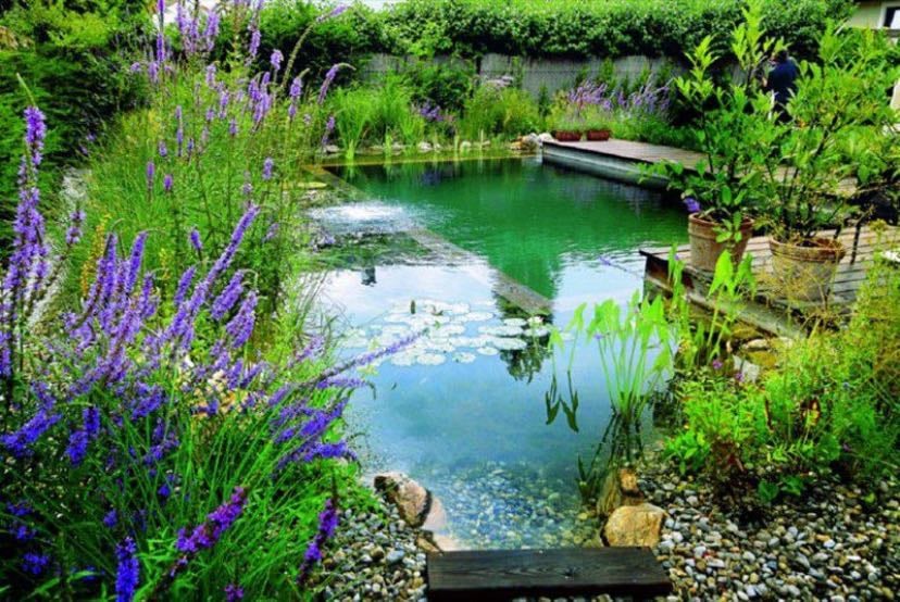 Natural lake pool