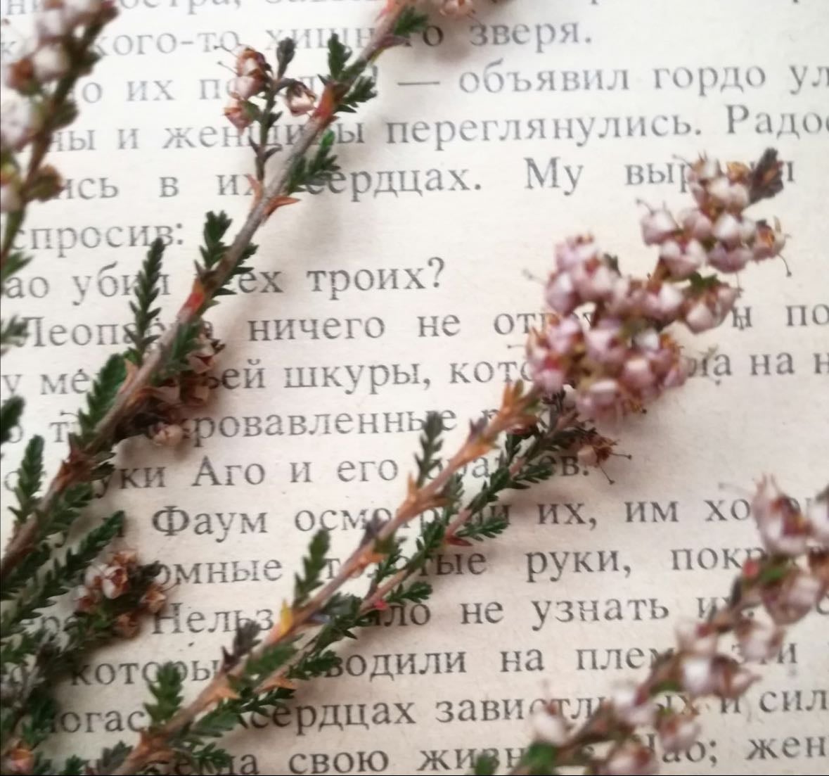 Words, Thoughts, Ruminations