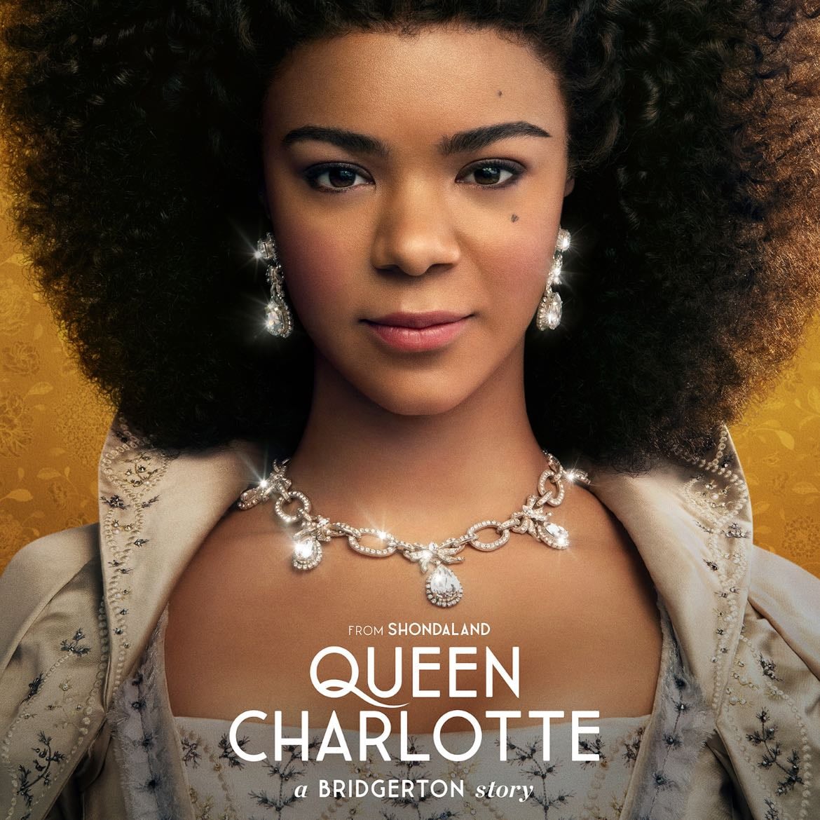 Queen Charlotte - Shonda Rhimes · 2023