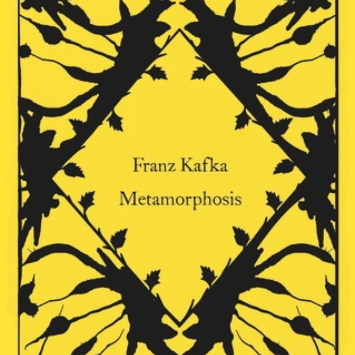 Metamorphosis - Franz Kafka · 2024