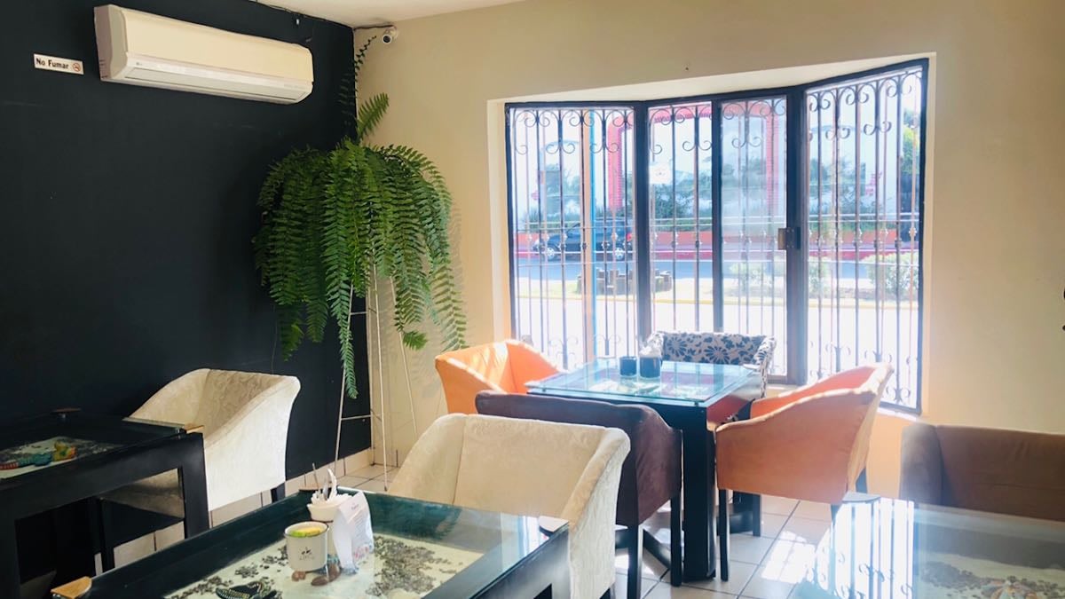 Alebrije, Café y Té. - Bonito y espacio ideal para hacer actividades con amigas