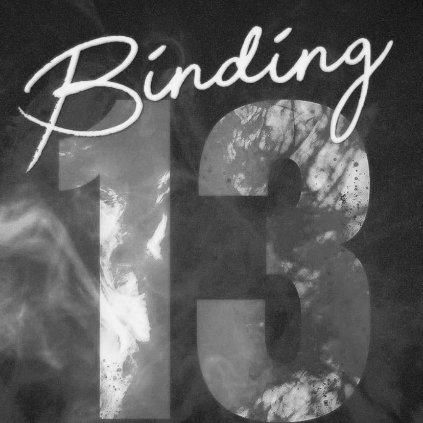 Binding 13 (Boys of Tommen, 1) - Chloe Walsh · 2023