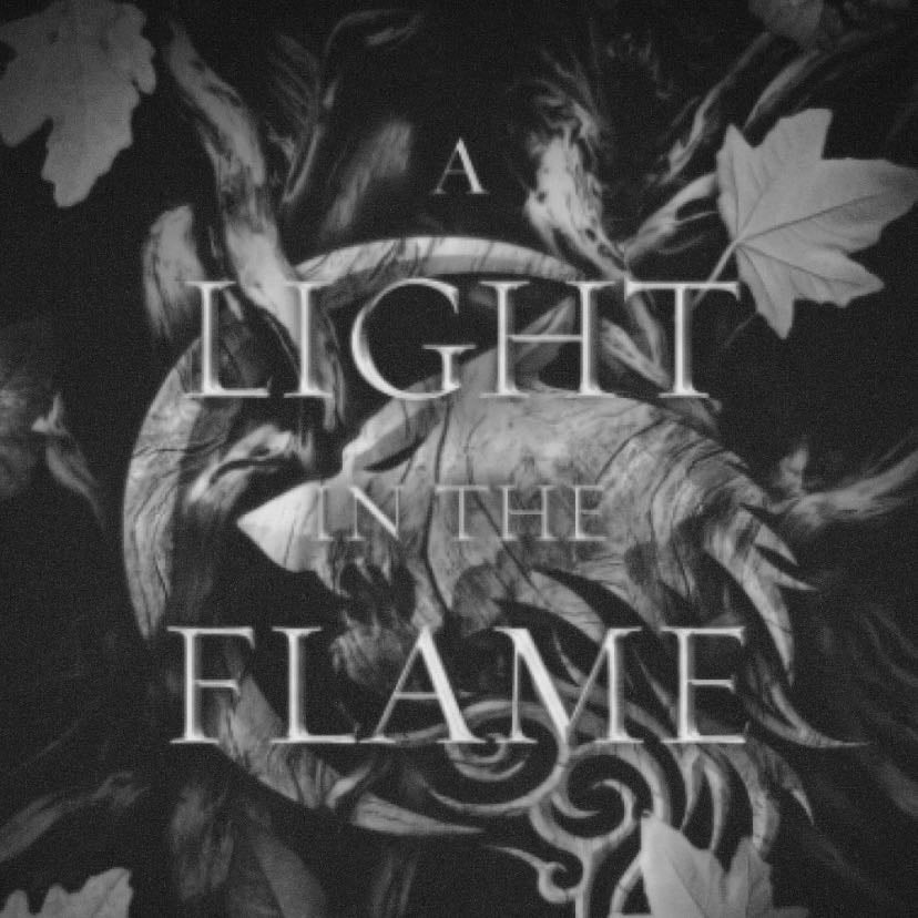 A Light in the Flame (Flesh and Fire, 2) - Jennifer L. Armentrout · 2022
