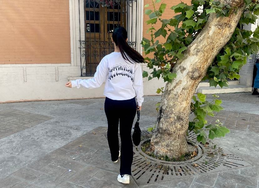 Mis lugares en La Laguna - Places hypelist by LARangel