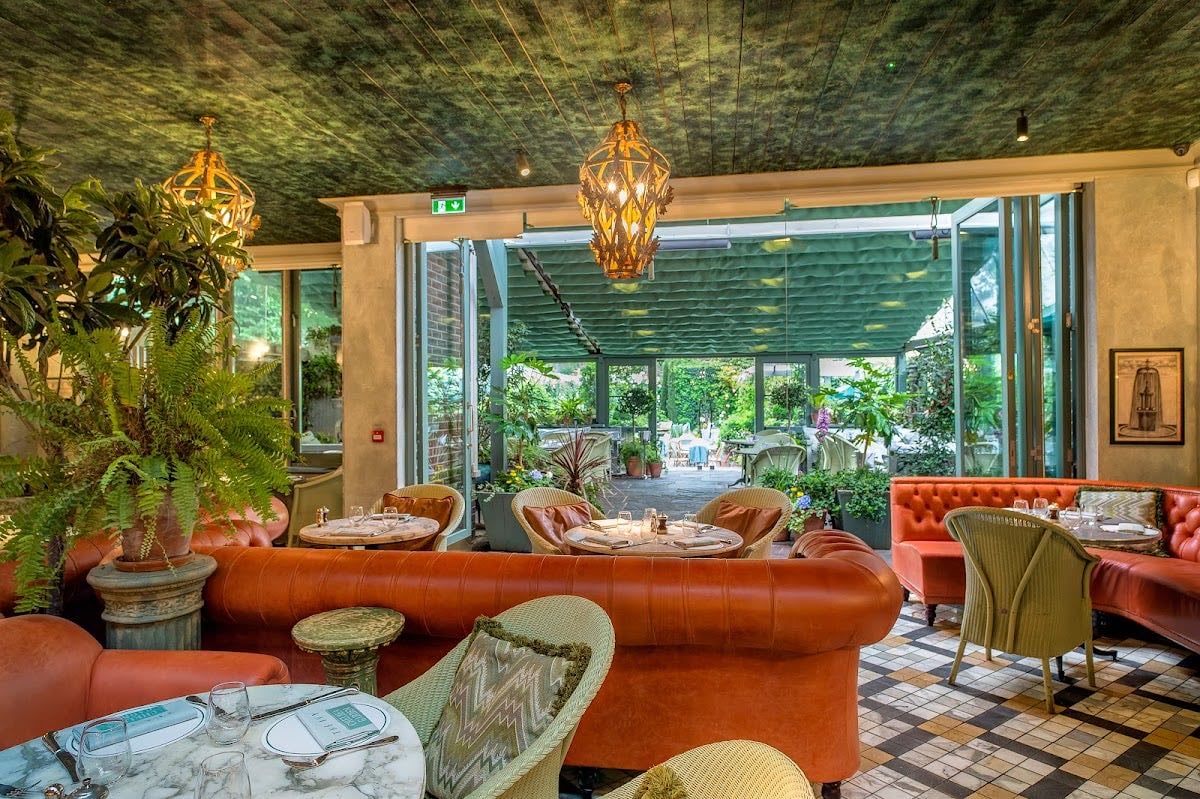 The Ivy