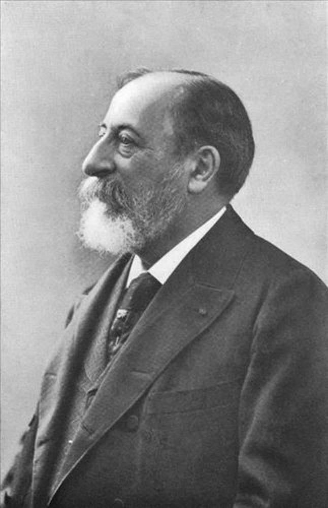 Camille Saint-Saëns - Artist