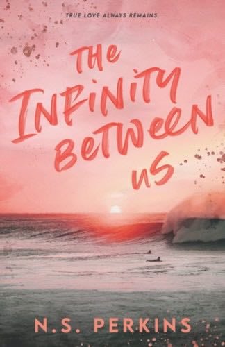 The Infinity Between Us - Ns Perkins · 2022