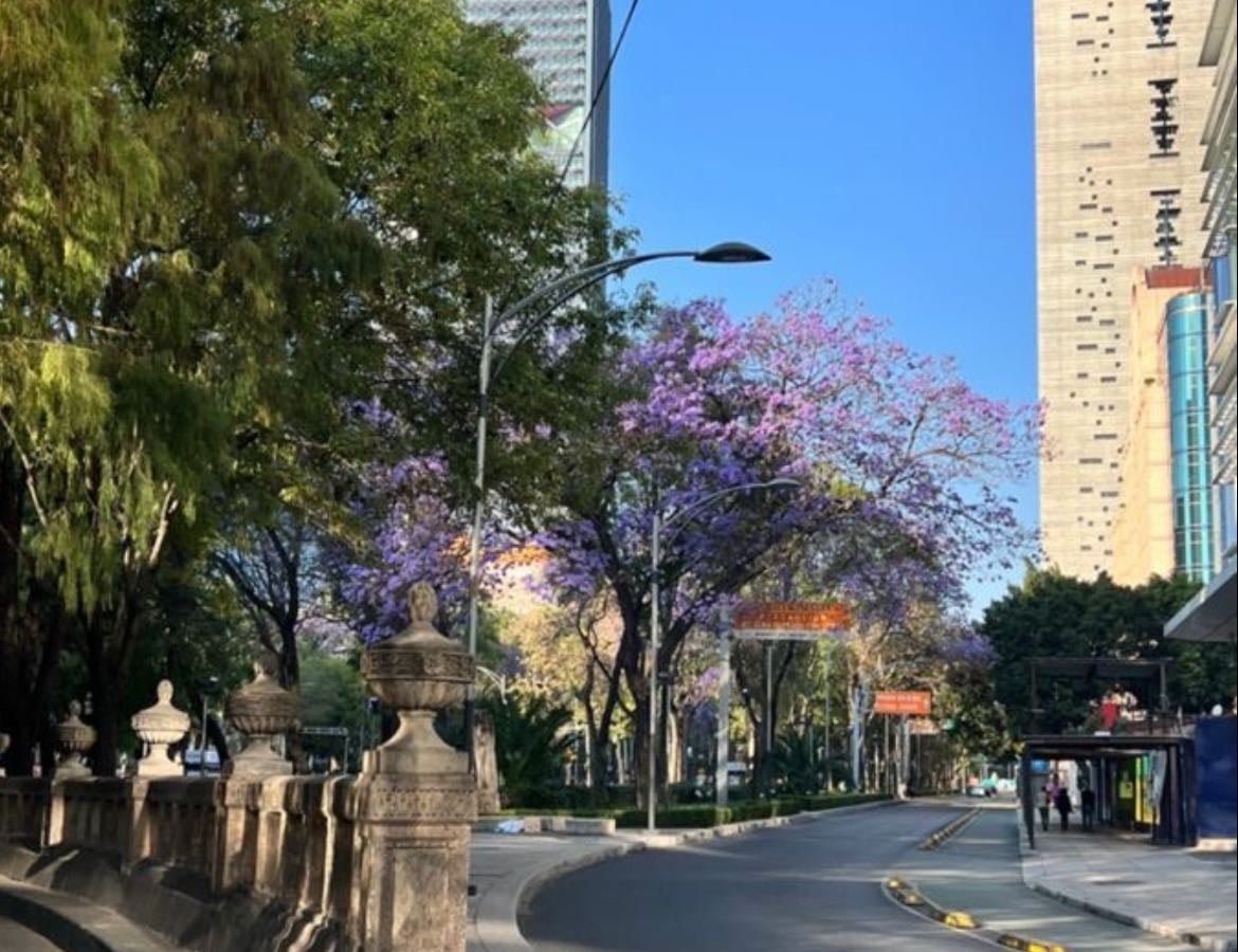 Mexico City