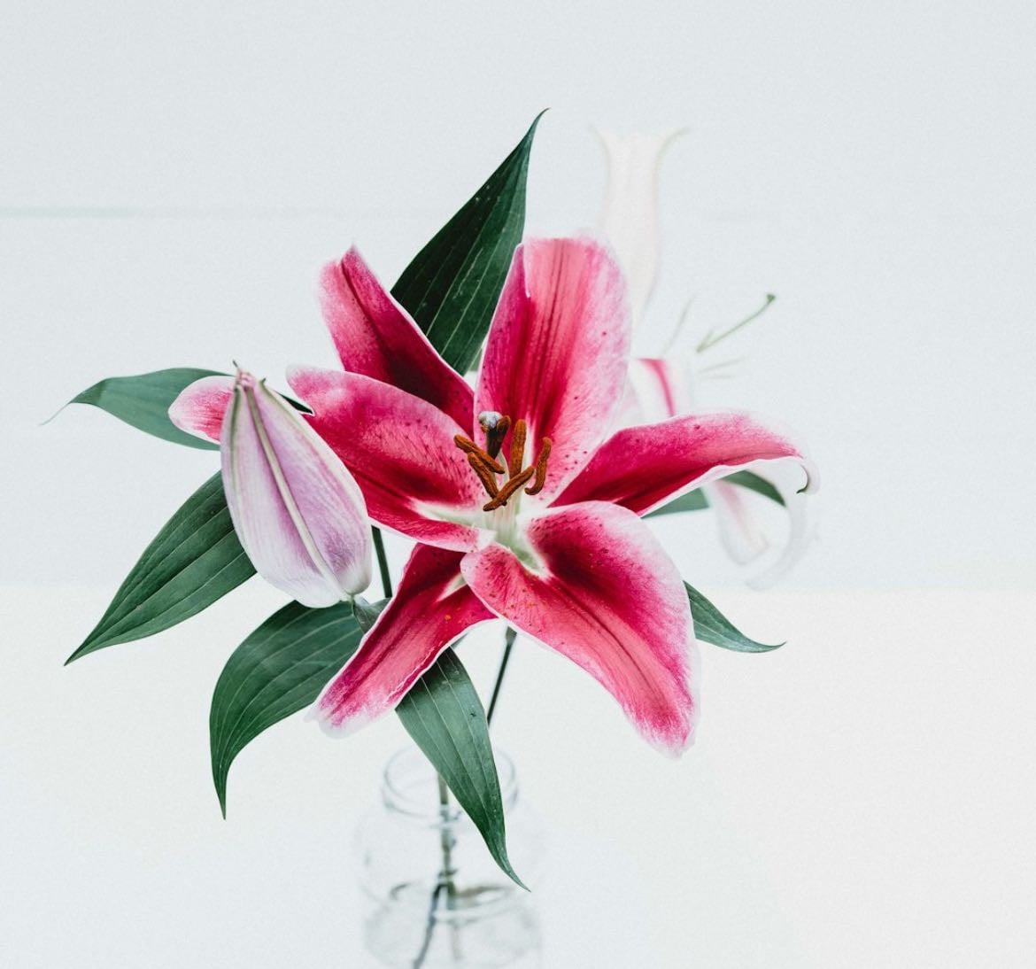 ma skincare - Products hypelist by Célia Panissard