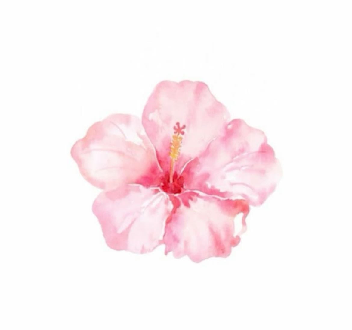 wishlist - Products hypelist by Célia Panissard