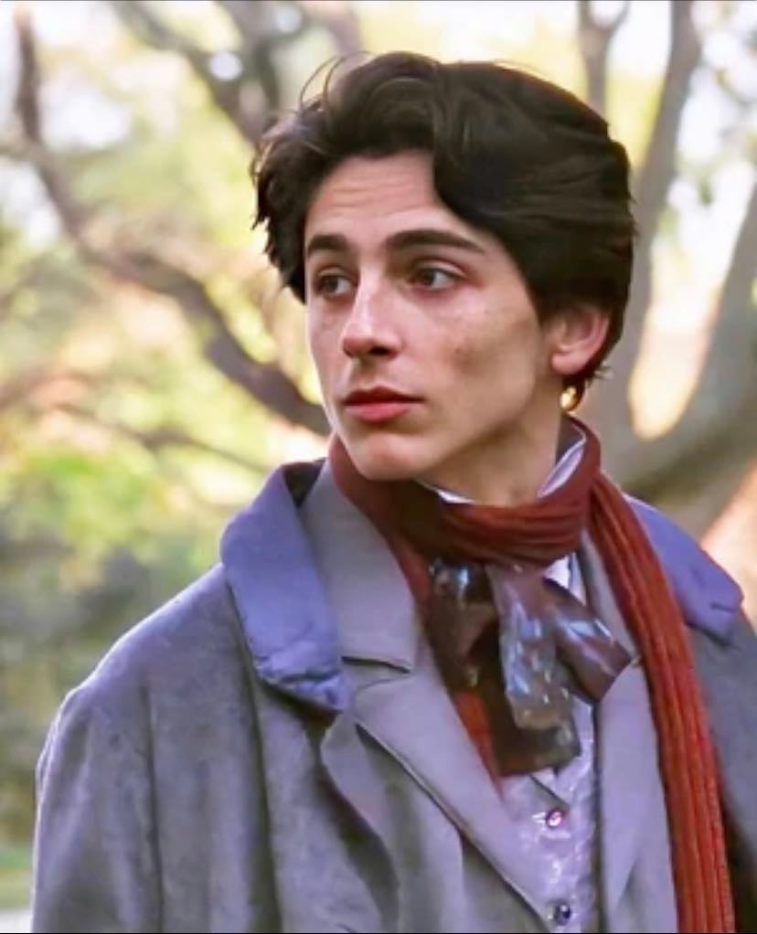 laurie - little women