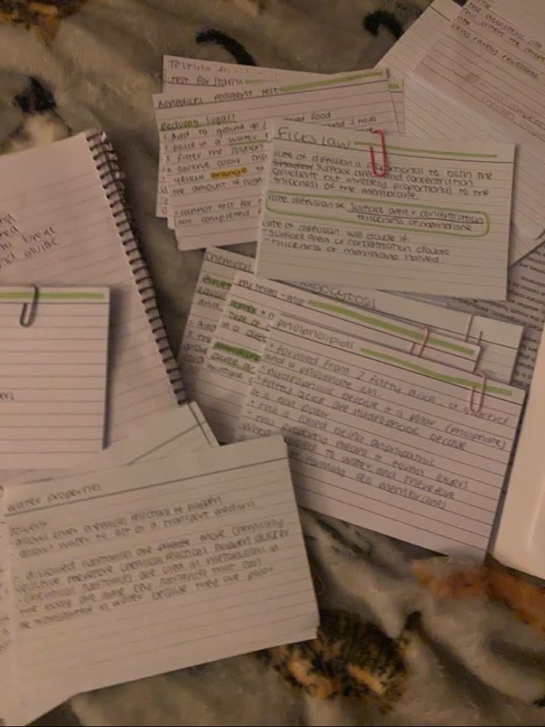 flashcards