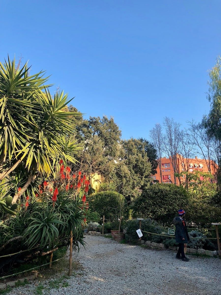 Palo Alto - Palo Market fest - First weekend of the month