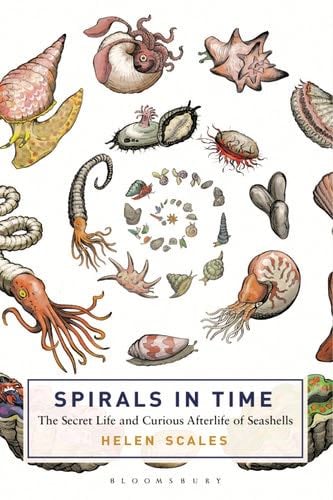 Spirals in Time: The Secret Life and Curious Afterlife of Seashells - Helen Scales · 2015