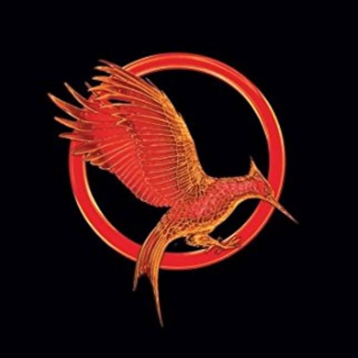 Catching Fire (Hunger Games Trilogy, Book 2) - Suzanne Collins · 2010