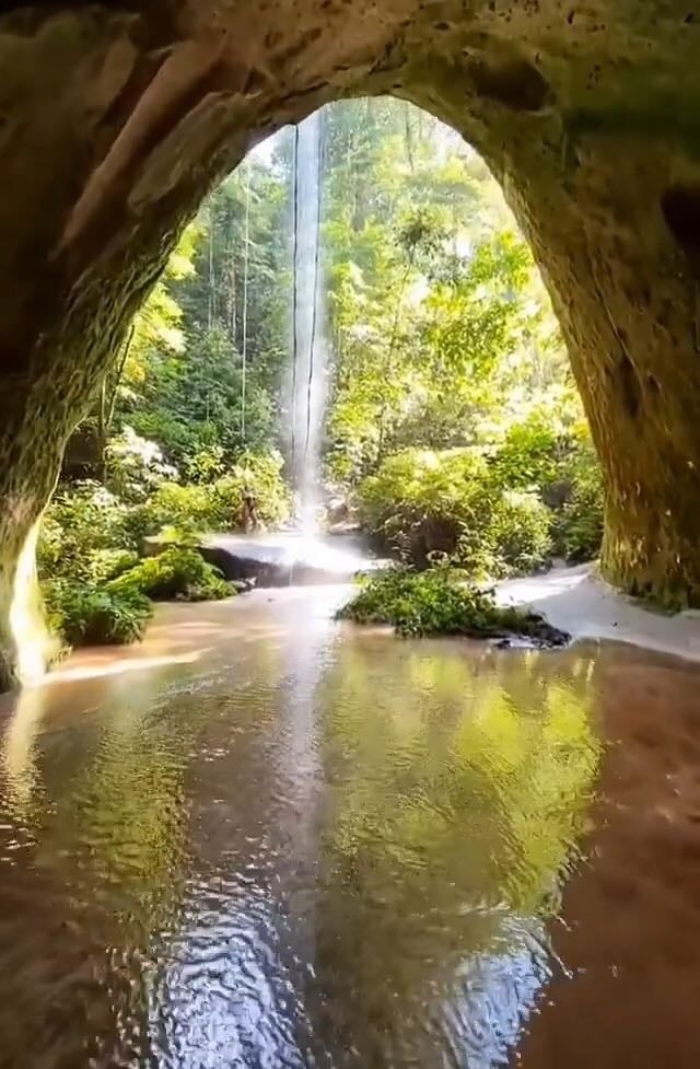 Amazonas