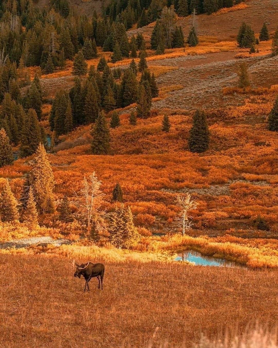 Wyoming