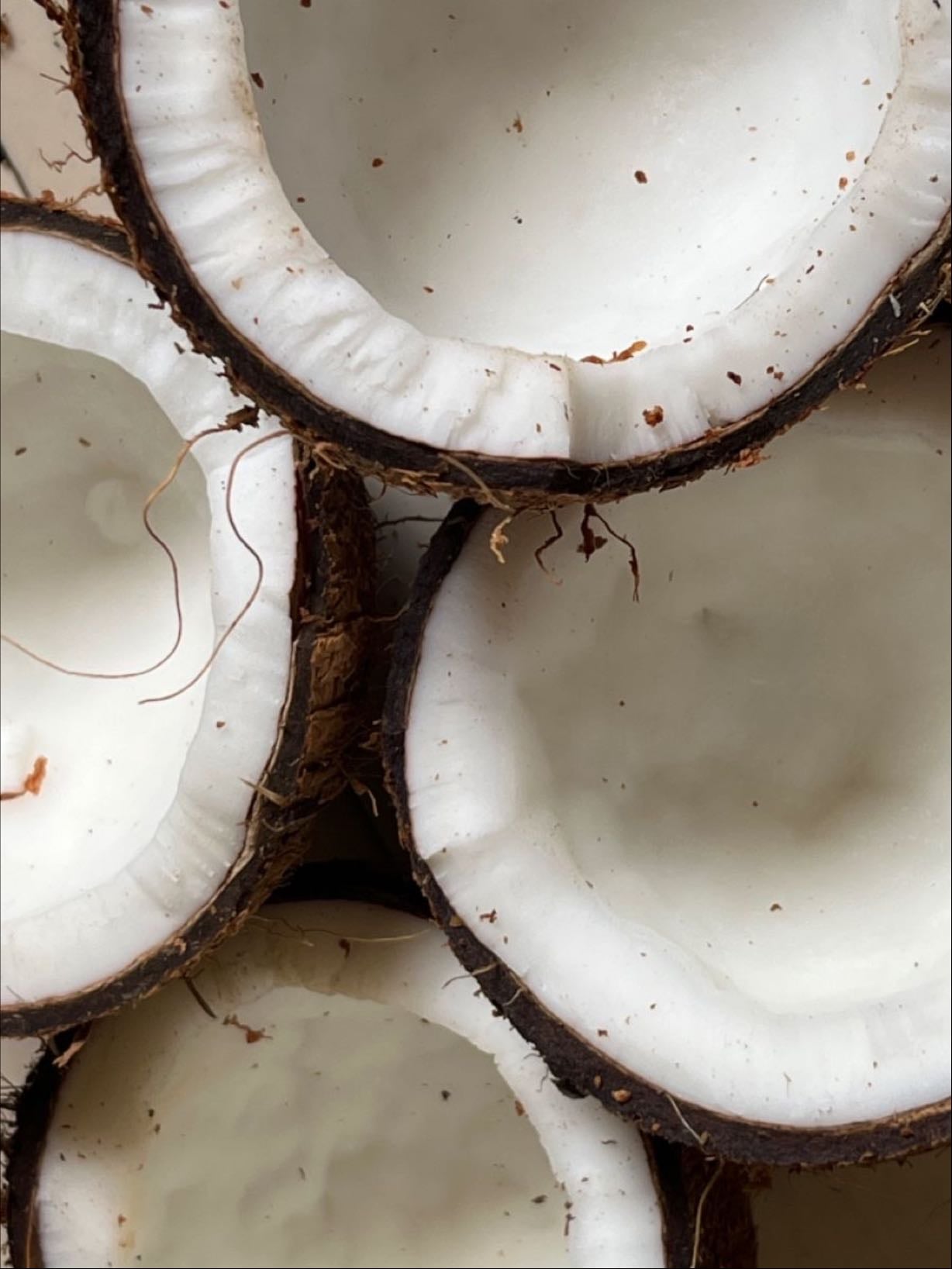 coconut smells