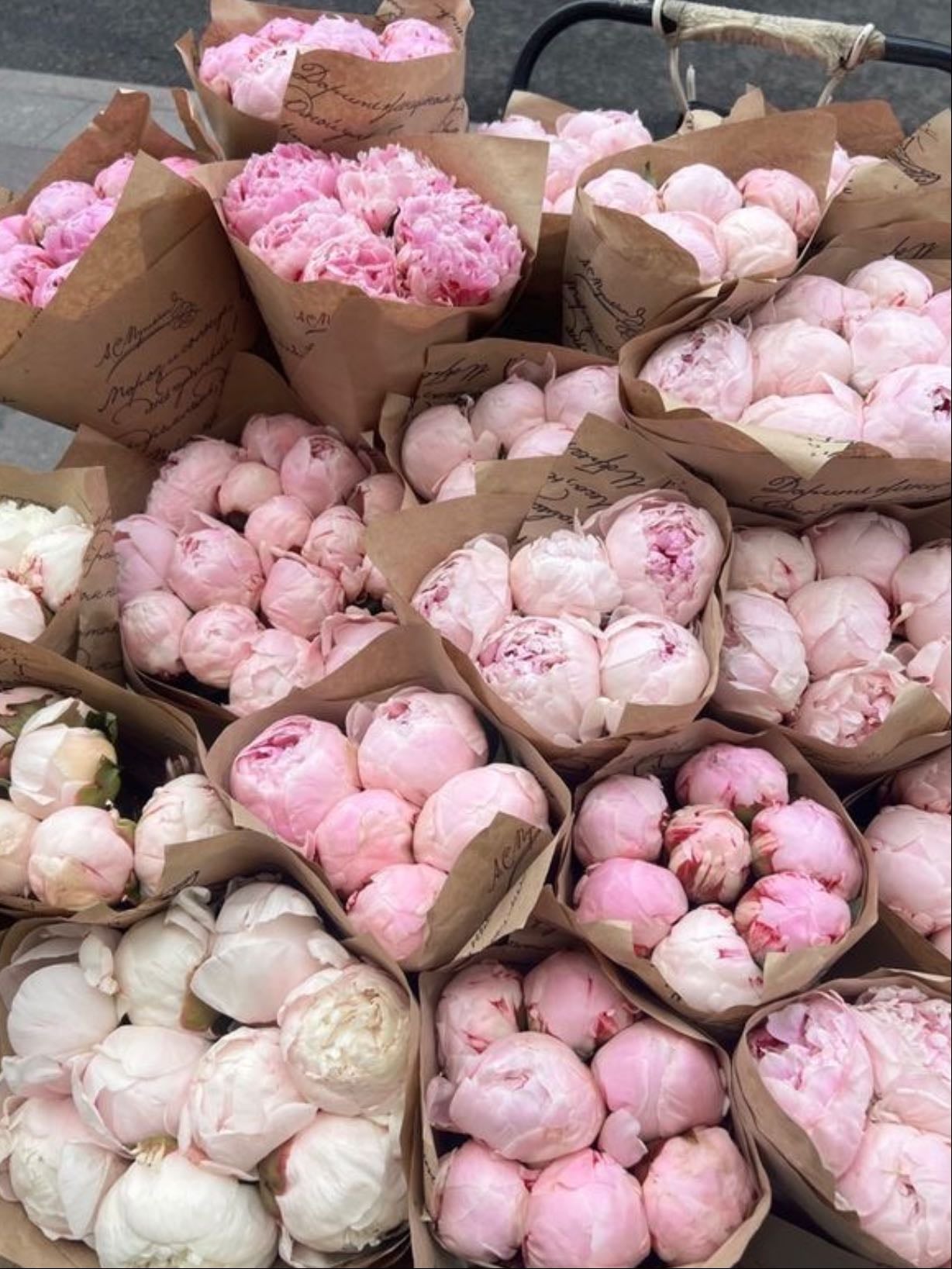 peonies