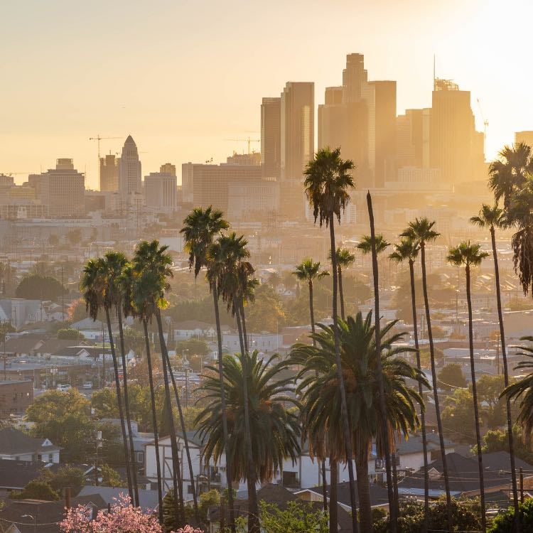 los ángeles
