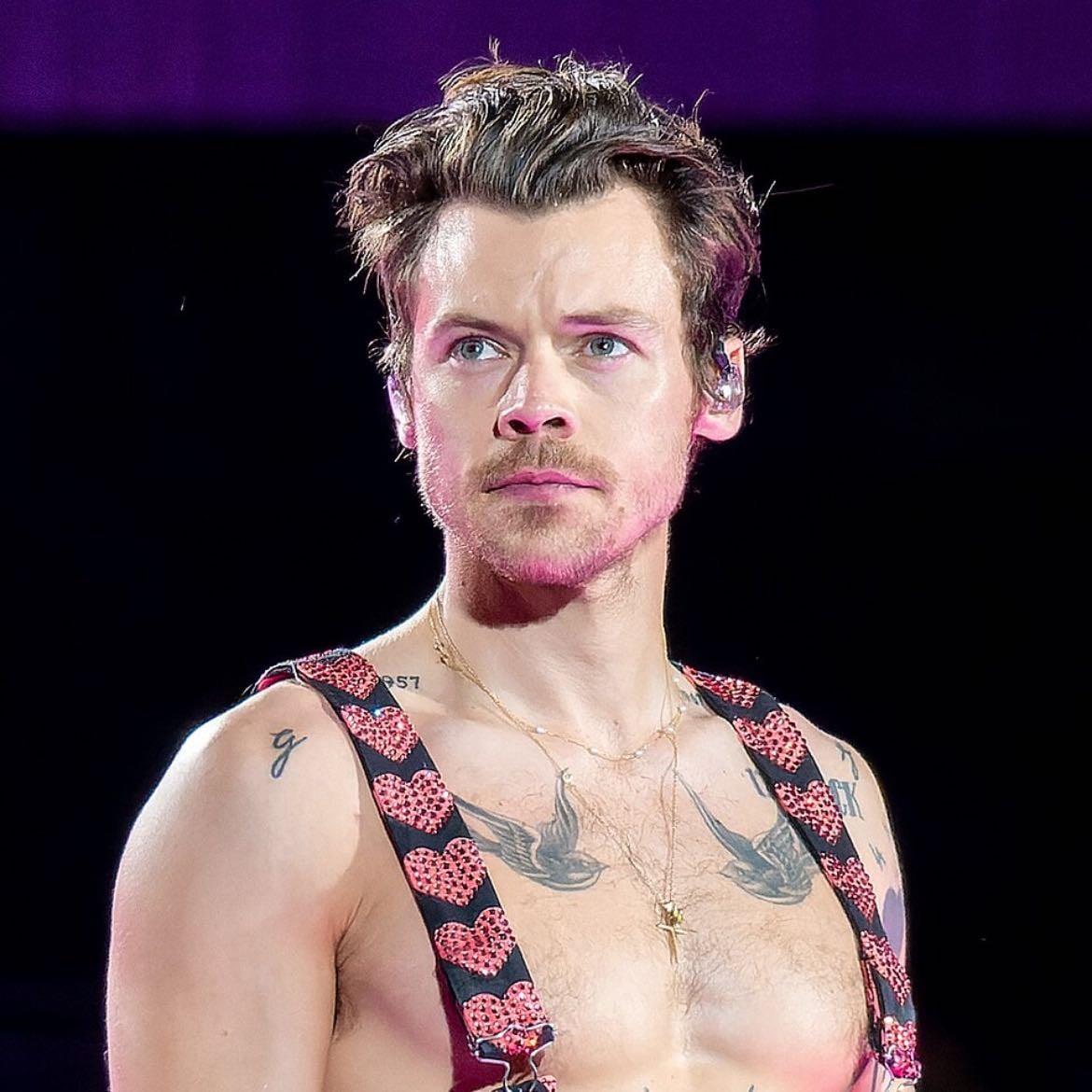 Harry - ✨