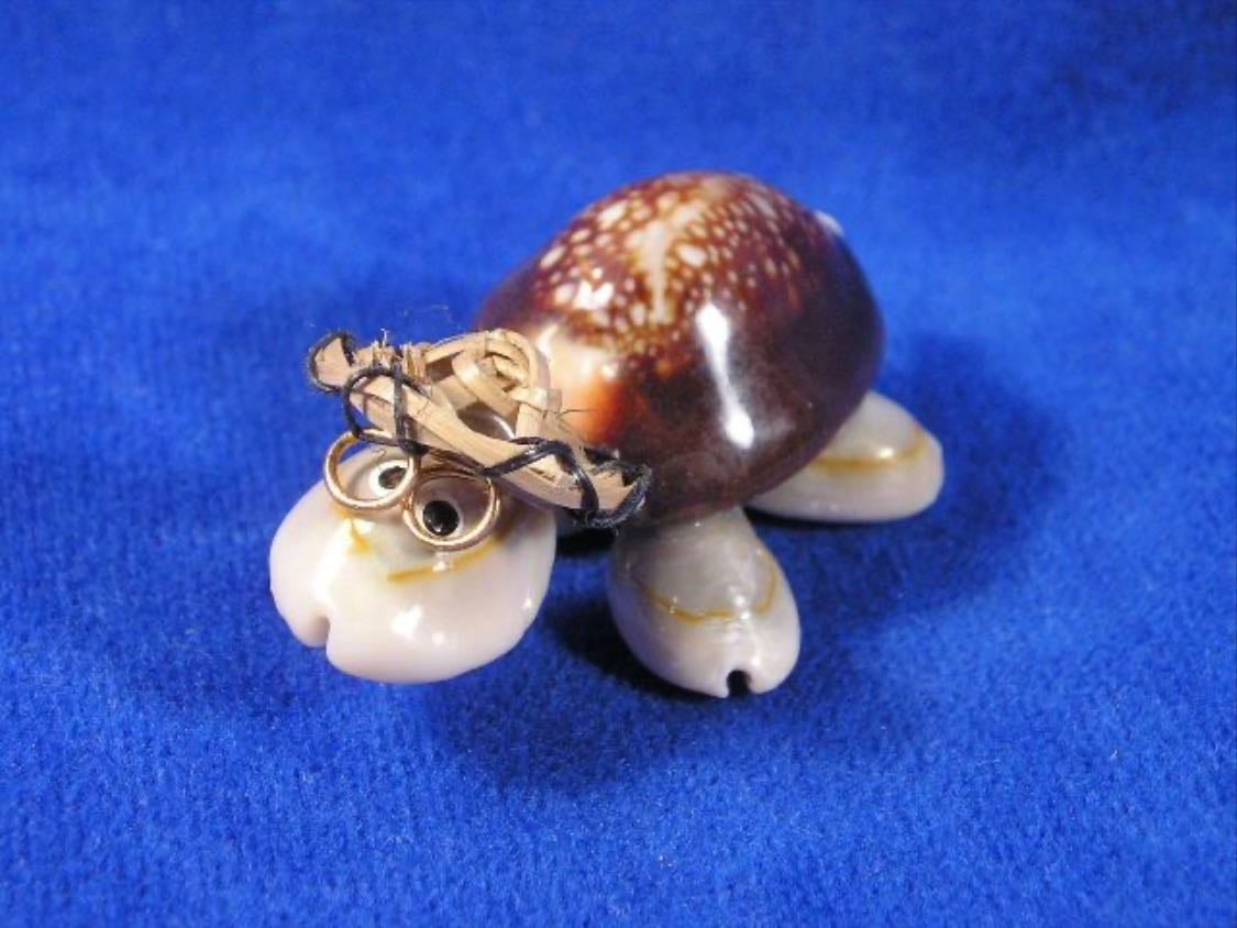 Turtle made of Shells - gift