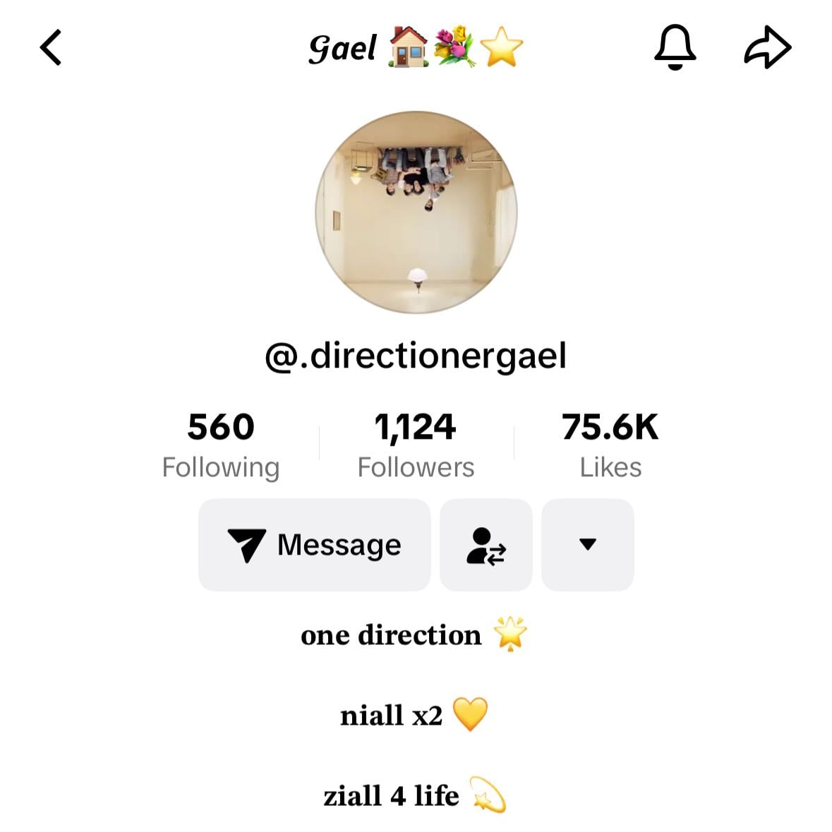 gael ( @.directionergael ) - MY FAVE EVER!!! she’s super super friendly and kindddd, she actually sooo underrated. she makes a lot amazing vids!!! 🤍