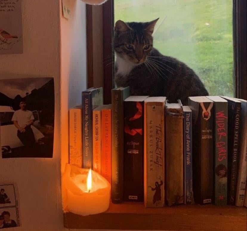 bookshelf༅✩🕯