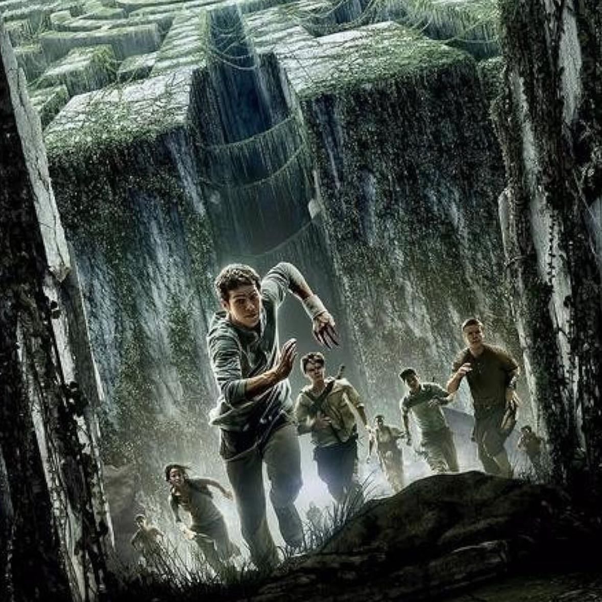 The Maze Runner - you need to see it if you haven't seen it