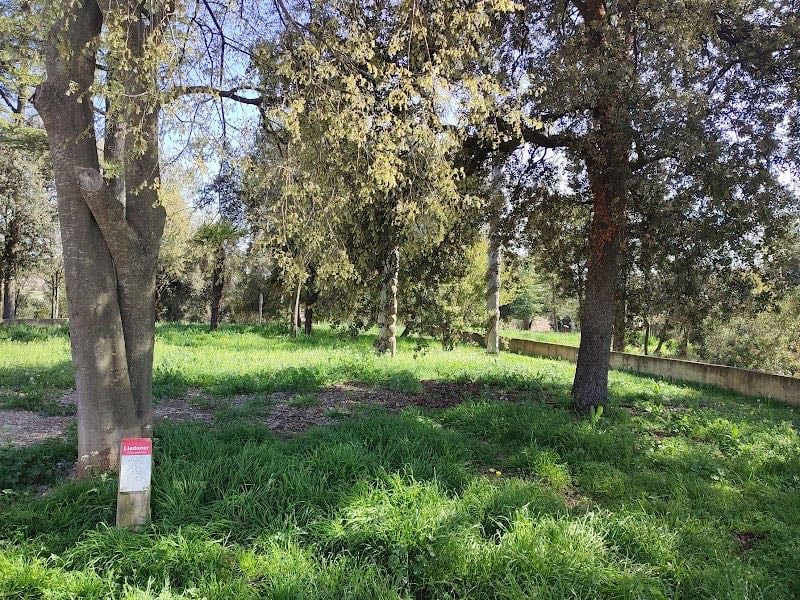 Puig reig (Puigreig)