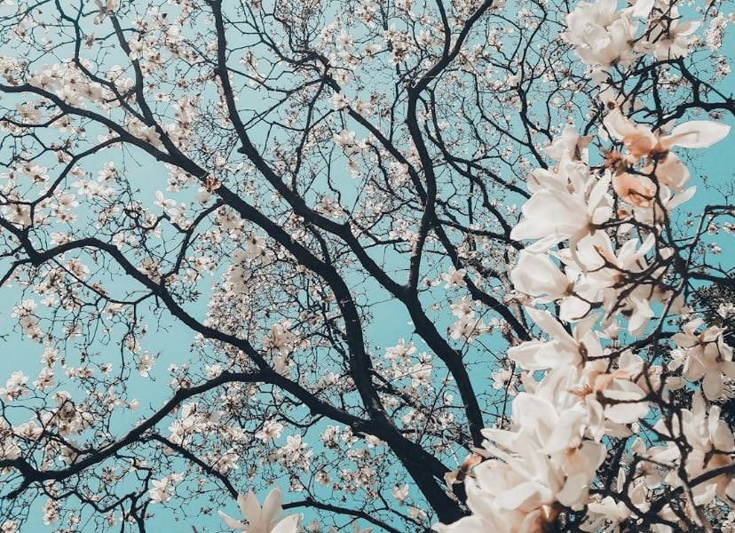 Spring