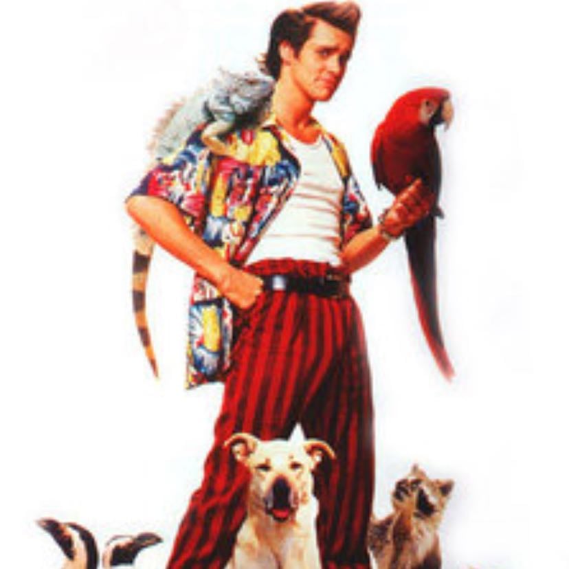 Ace Ventura