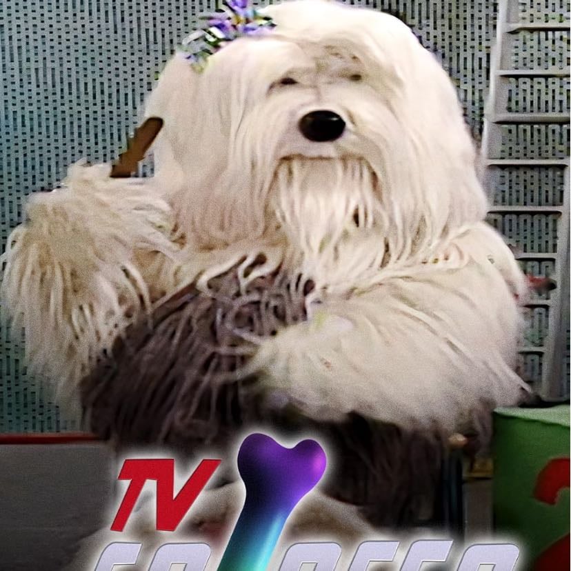 TV Colosso