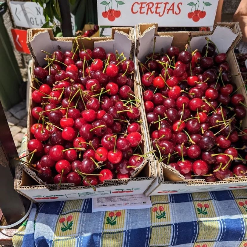 Cerejas