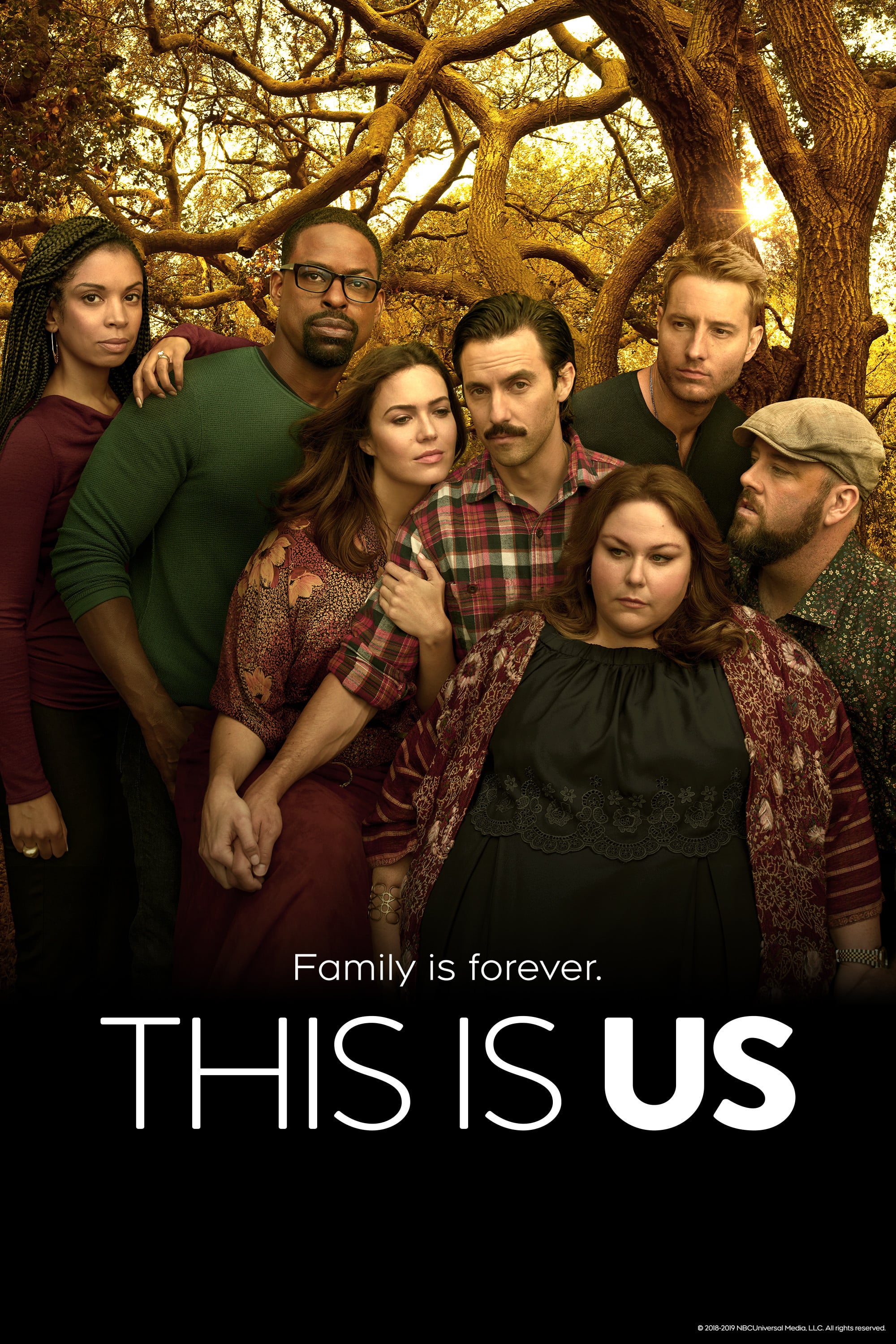 This Is Us - Dan Fogelman · 2016