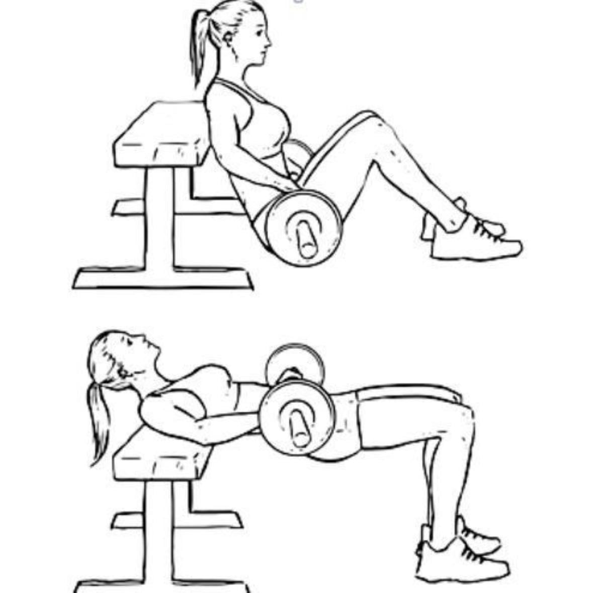Hip Thrust