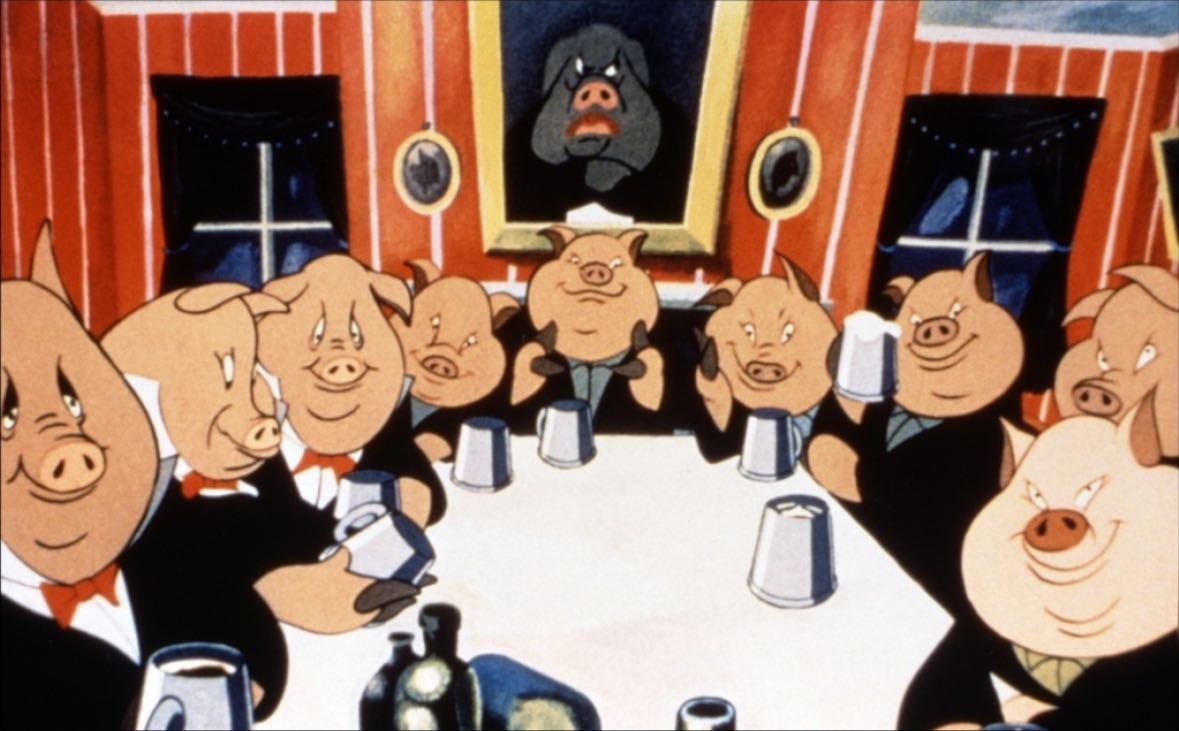 Política (2026)