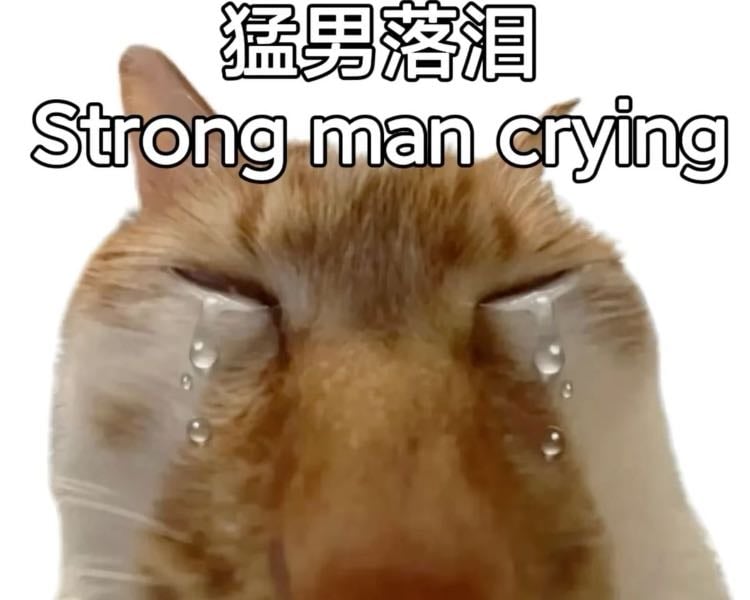 nossa ta bom ta bom ta bom quantos sentimentos ta bom cê fala demais gurizão cê fala demais
