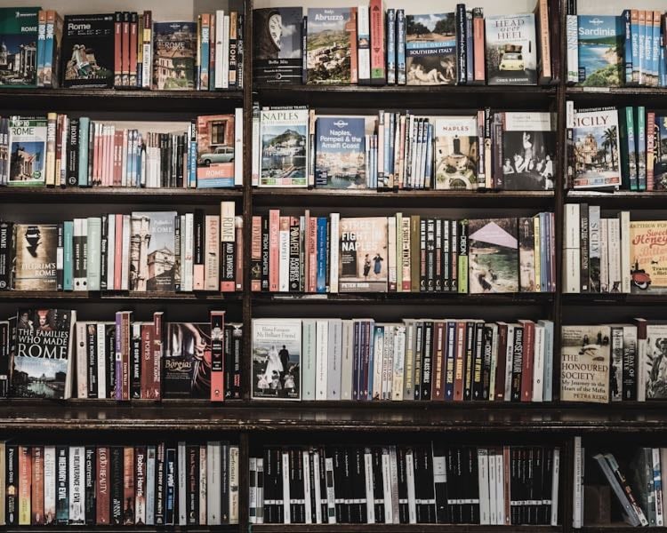 2025 Books I want to read - Books hypelist by Janahy Sánchez Robles