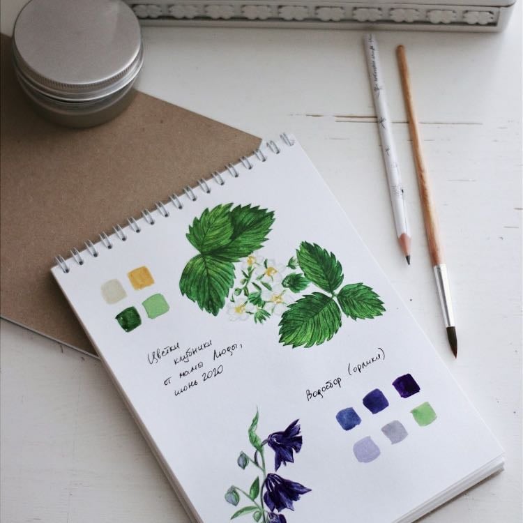 Sketchbook
