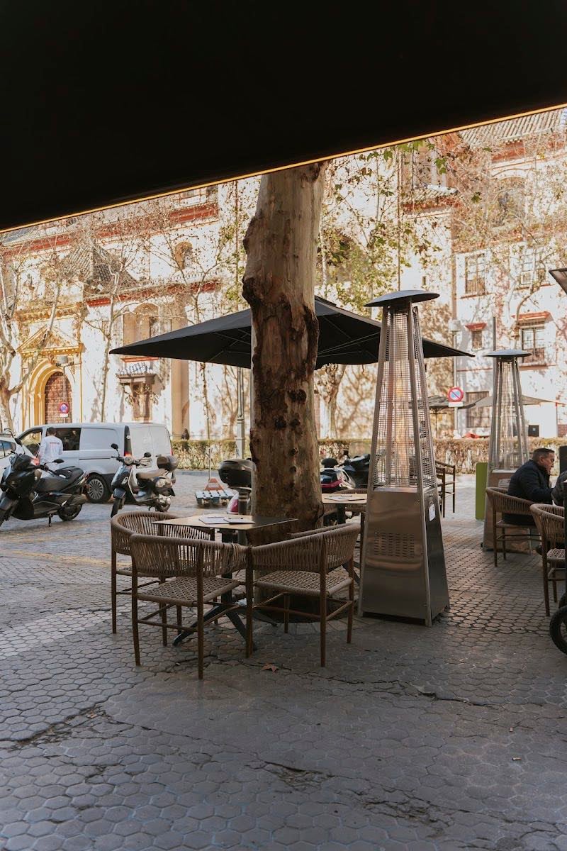 Canela Tapasbar