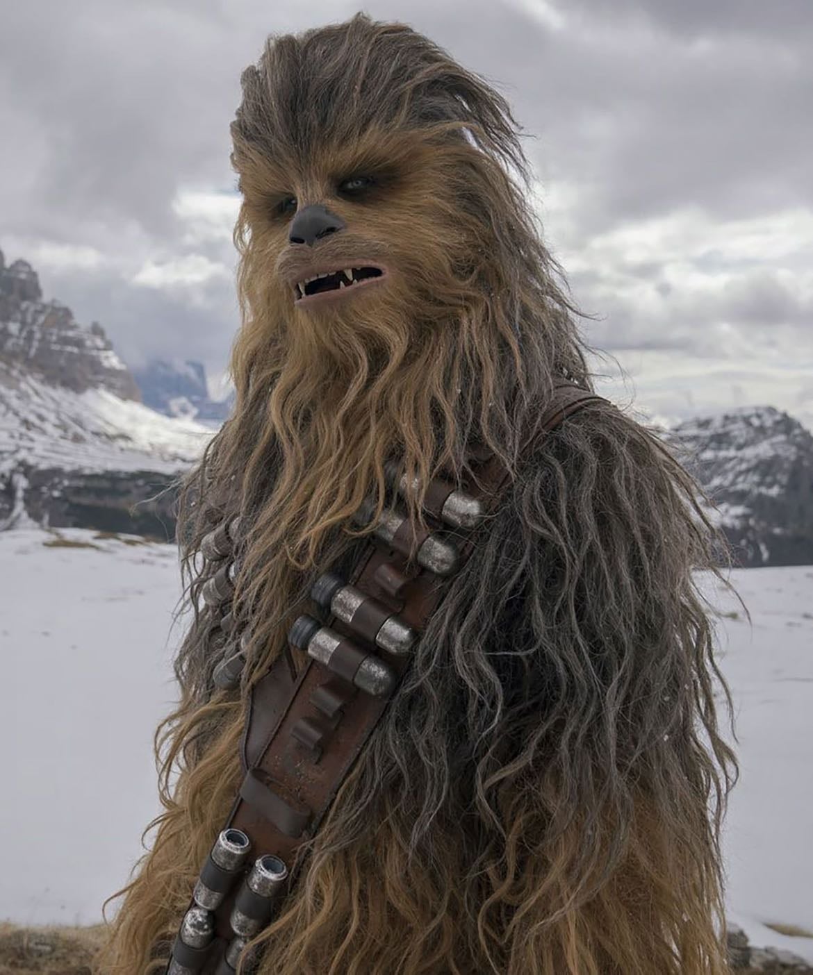 chewbacca - star wars character