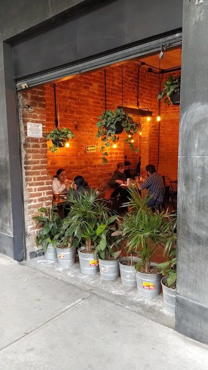 Indómita Burger Punks