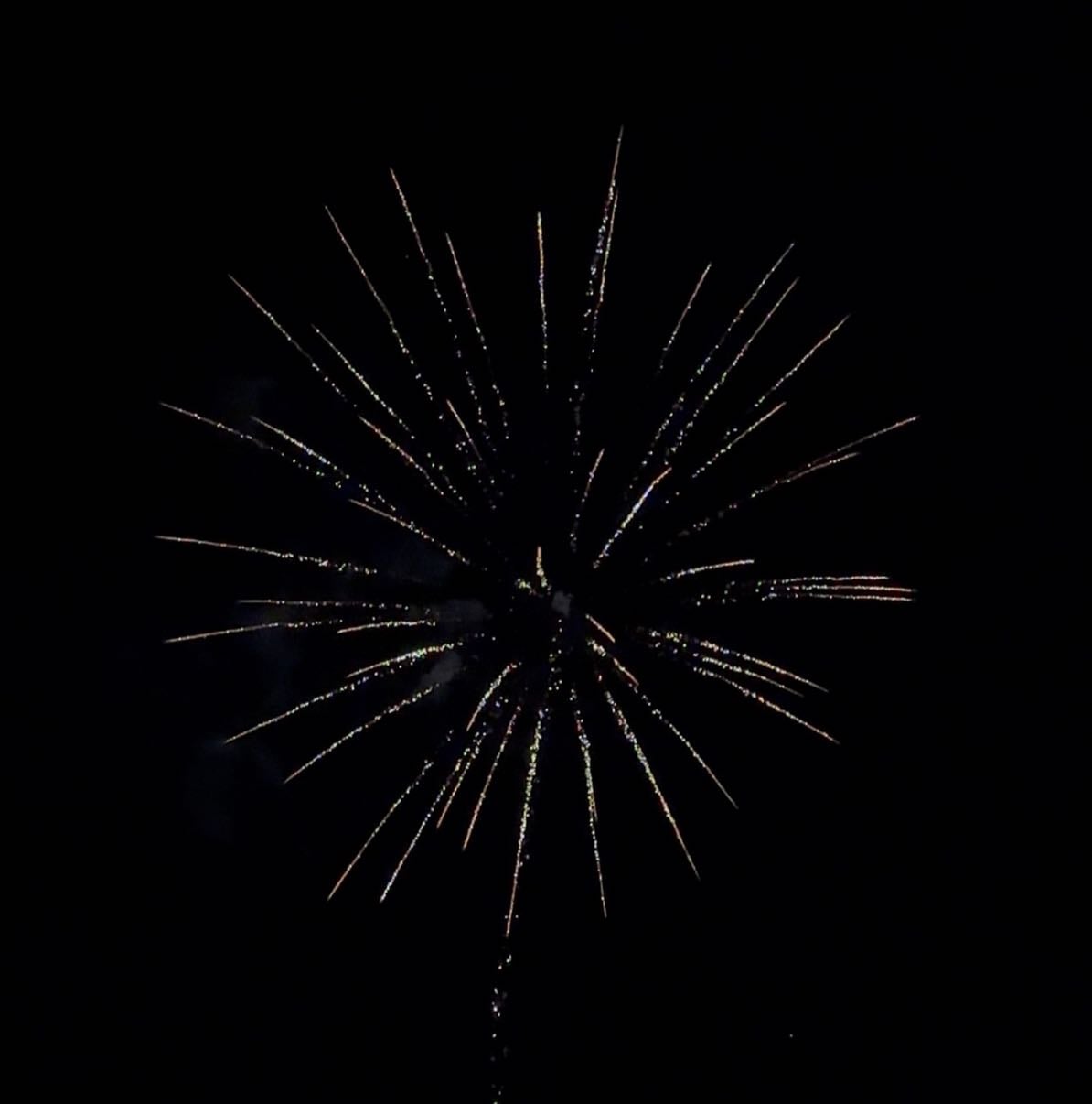 🎬