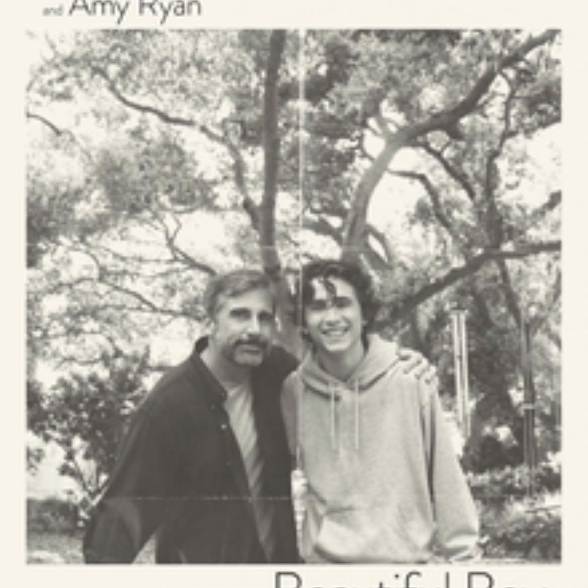 Beautiful Boy - Van Groeningen (2018)