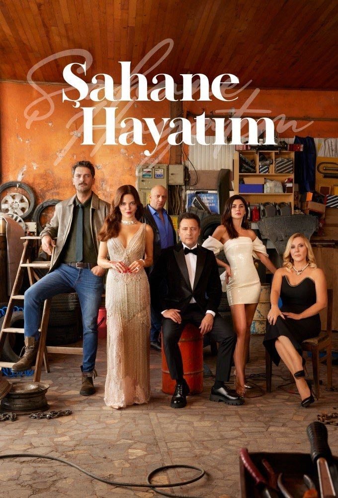 My Wonderful Life - Meriç Acemi · 2023