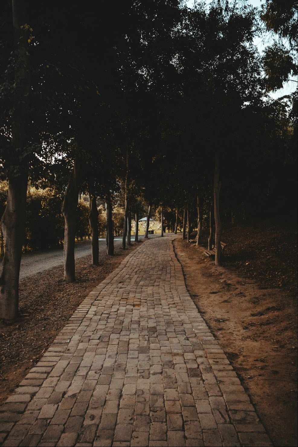 Go for a walk/run