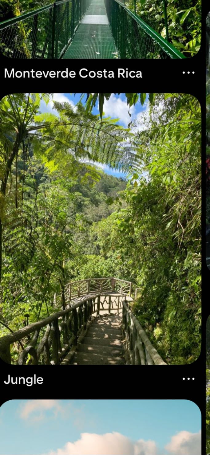Jungle - Costa Rica