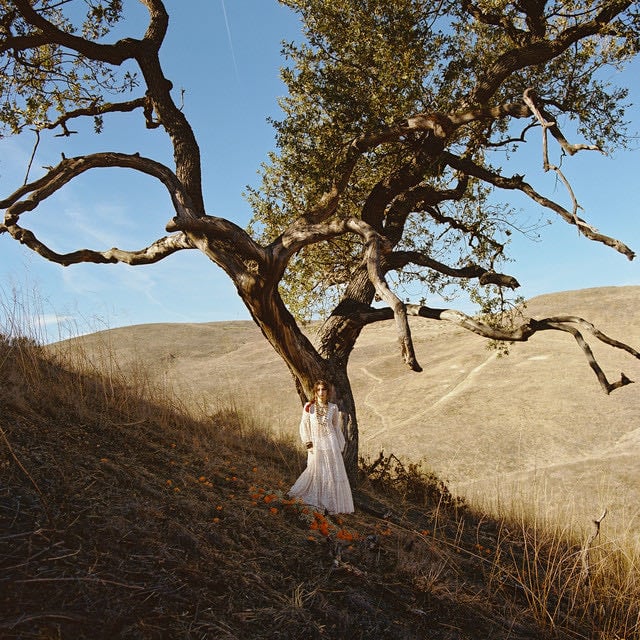 Marigolds - Song 路 Andrea Bejar
