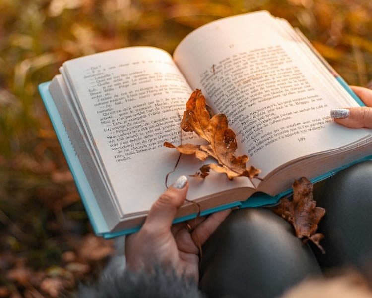 Books I have read 🍂